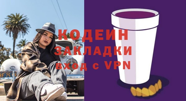 шишки Осташков
