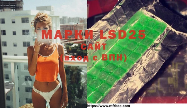 шишки Осташков
