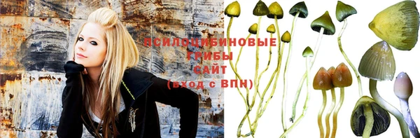 ГАЛЛЮЦИНОГЕННЫЕ ГРИБЫ Абаза